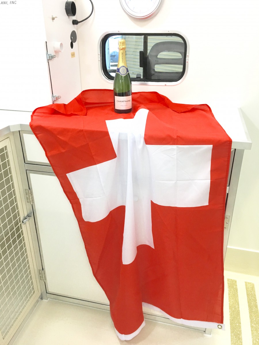 Innenansicht des mobilen Hundesalons von Nell Hunde-Wellness für die Schweiz und Liechtenstein.