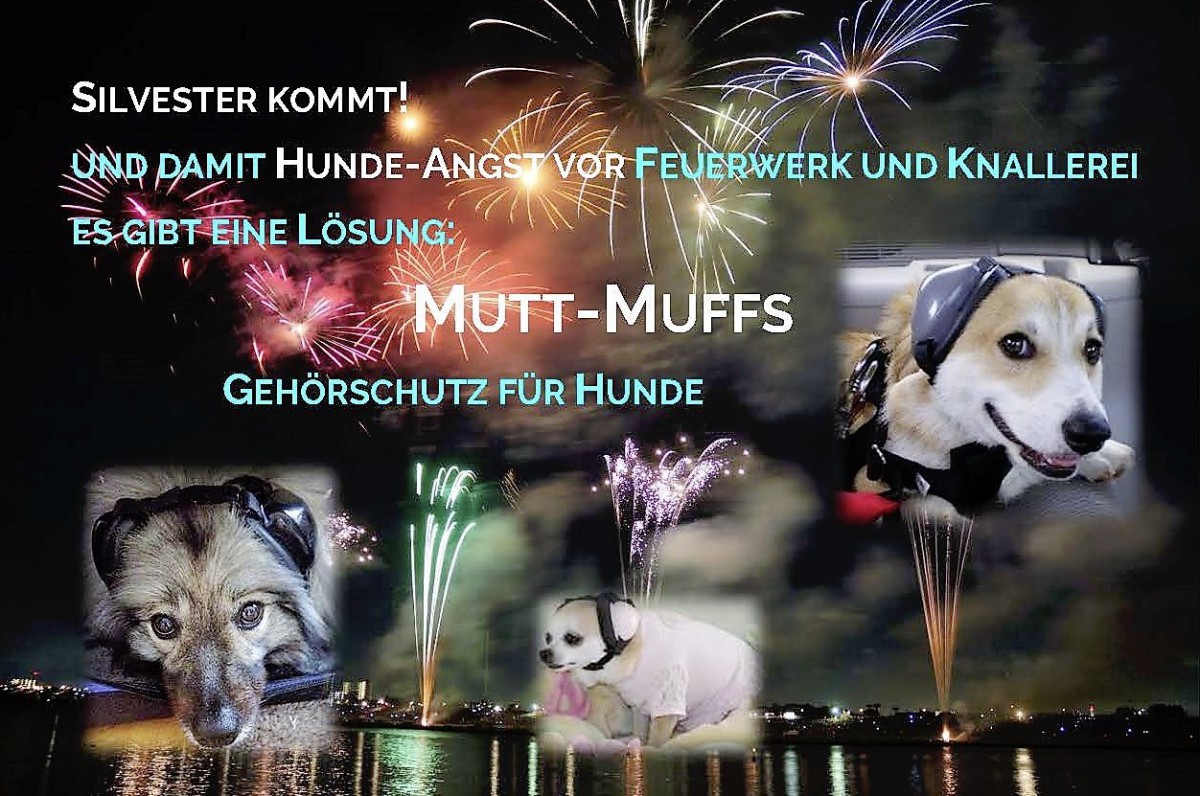 Mutt Muffs - Gehörschutz für Hunde